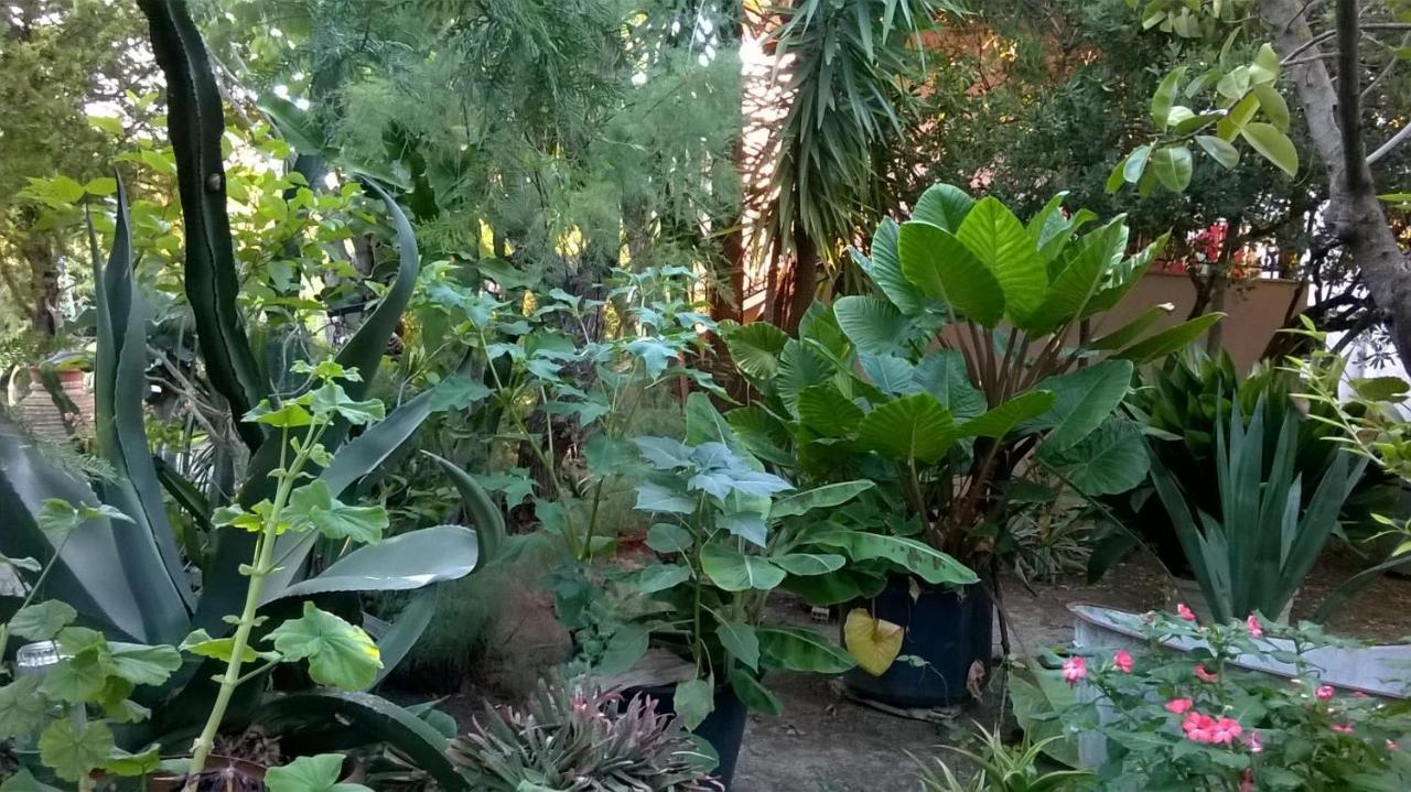 Baha-Ammes Leilighet Svoronata Eksteriør bilde